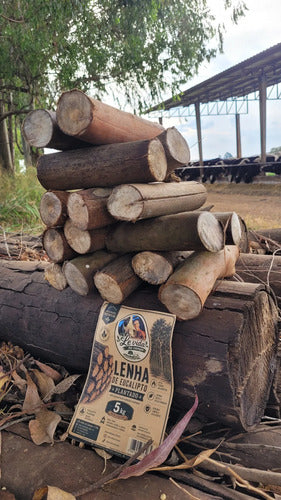 Lenha De Eucalipto Ecológica 5kg Para Lareira E Churrasco